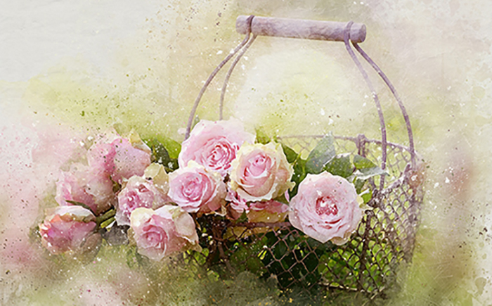 Gavekurver watercolor-roses